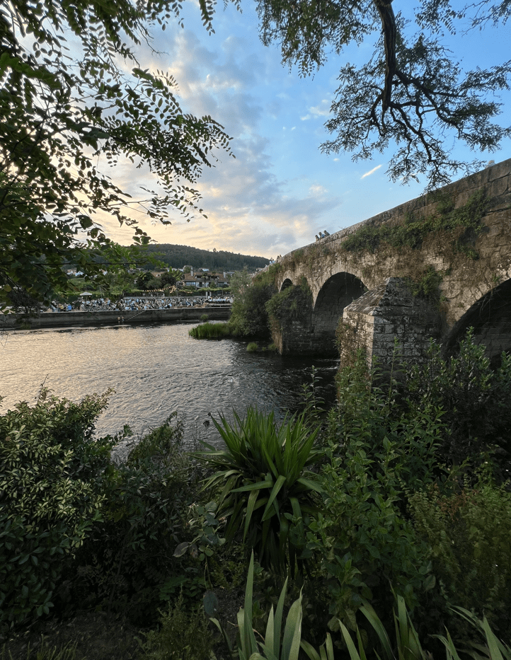 Comparta con nosotros una jornada única de naturaleza, viticultura y enología