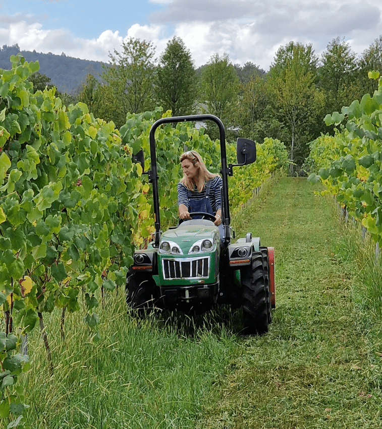 Lagar de Bendaña: Tradición, Innovación y Compromiso en el Corazón de Galicia